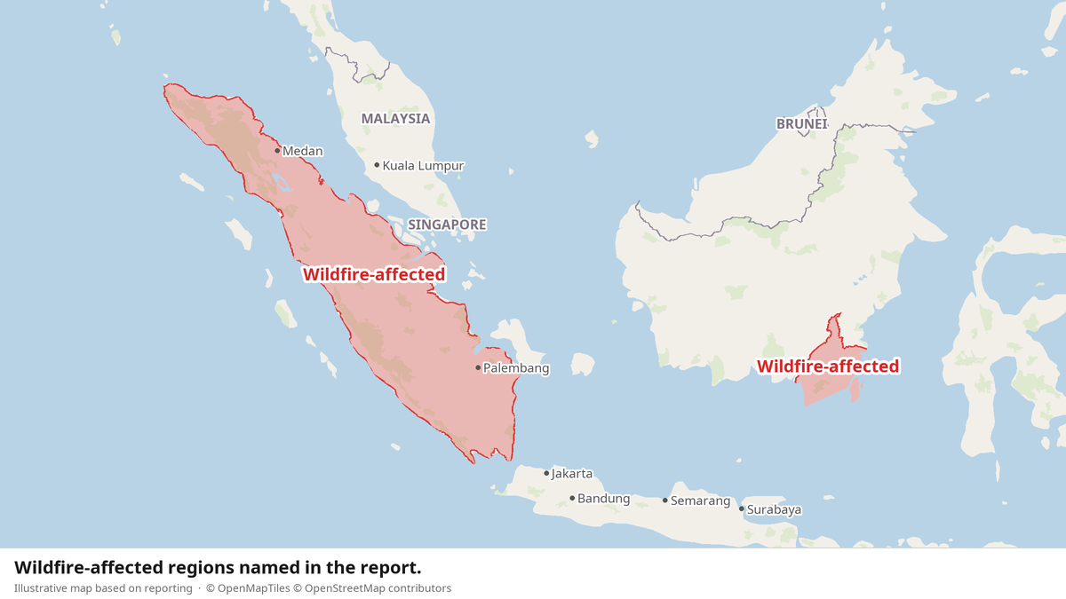 Borneo Fires Force Eight Orangutans From Their Homes