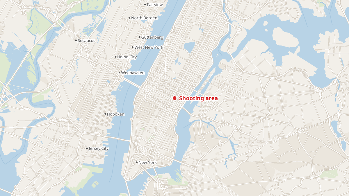 Subway Shooting Spurs Call for Police-Focused Mask Ban