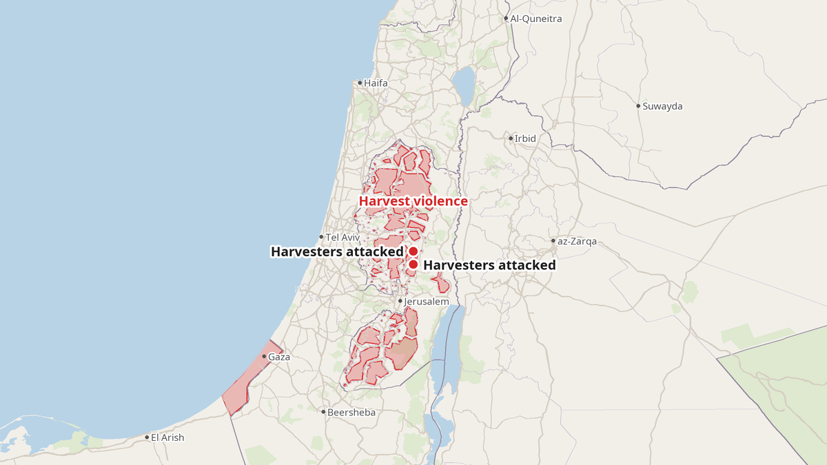 Settlers and Soldiers Block West Bank Olive Harvest
