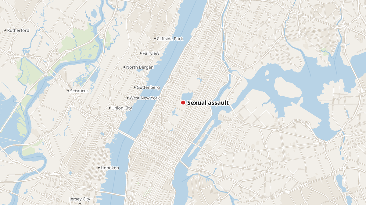 Central Park Assault Puts NYPD Safety Claims to Test