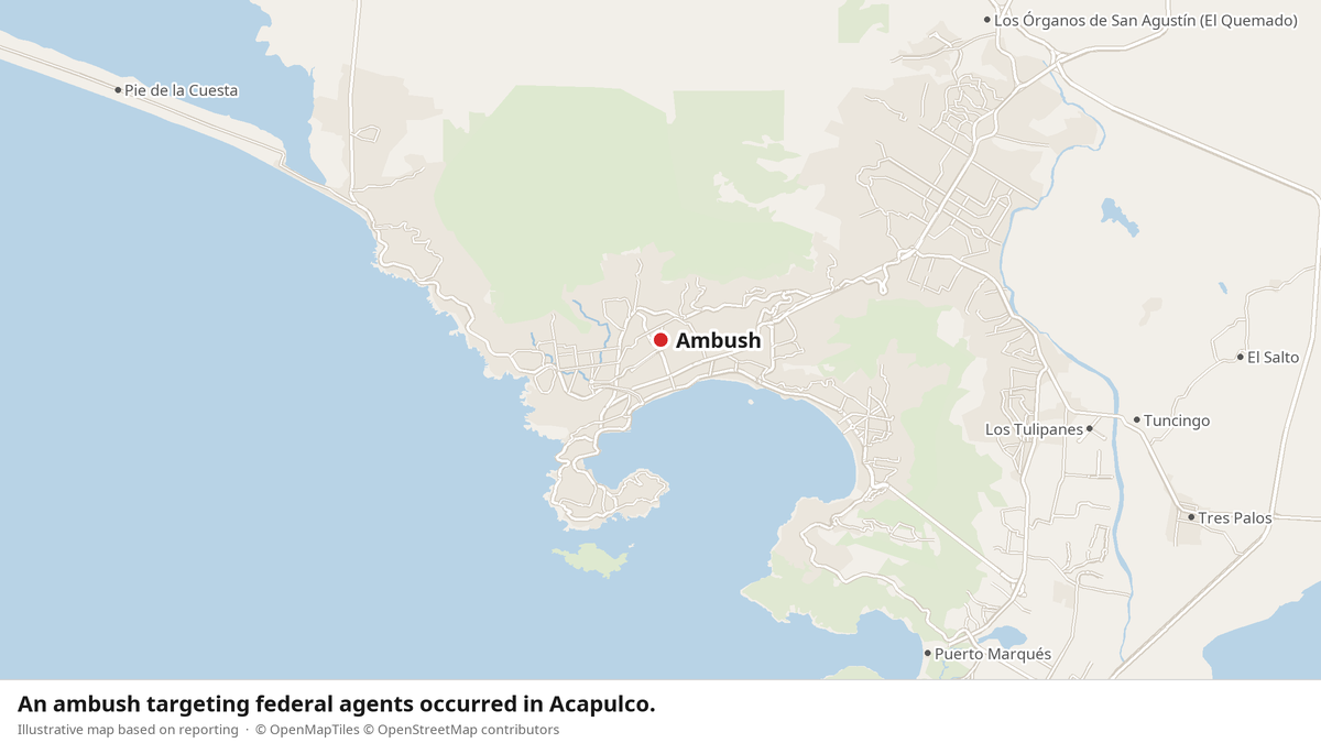 Federal Forces Arrest Seventh Acapulco Attack Suspect
